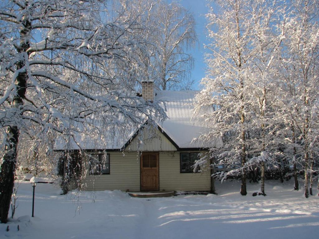 Tonise Holiday Houses Lilbi  Exterior photo